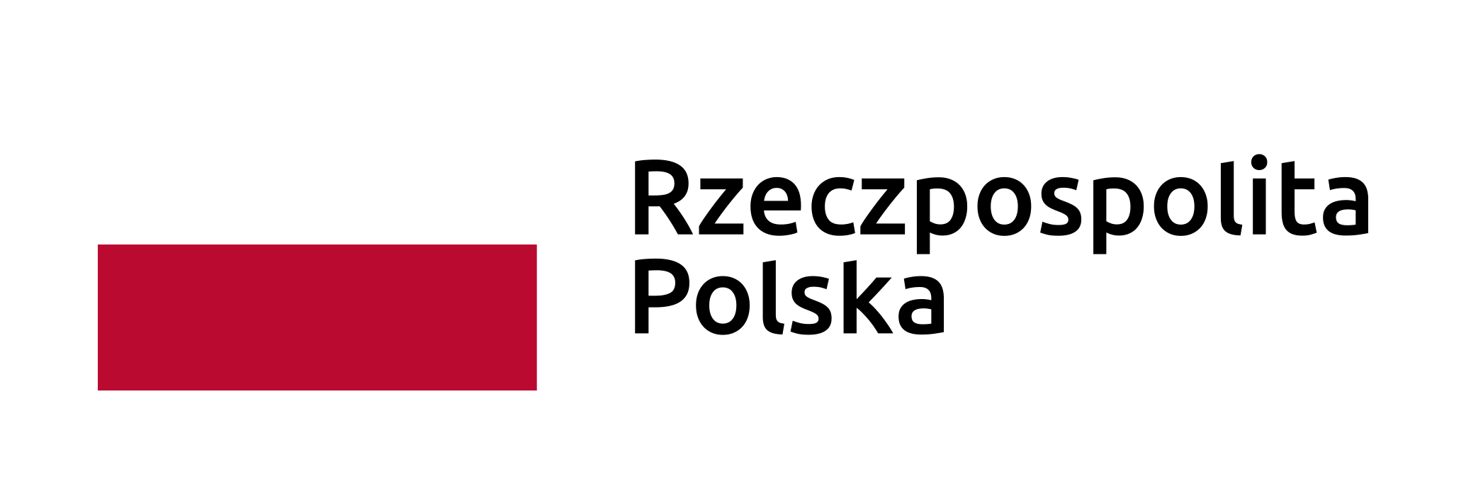 Logo Flaga Polski